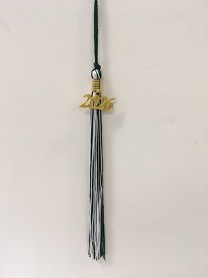 ELAC TASSEL