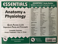 Essen Anatomy & Physiology